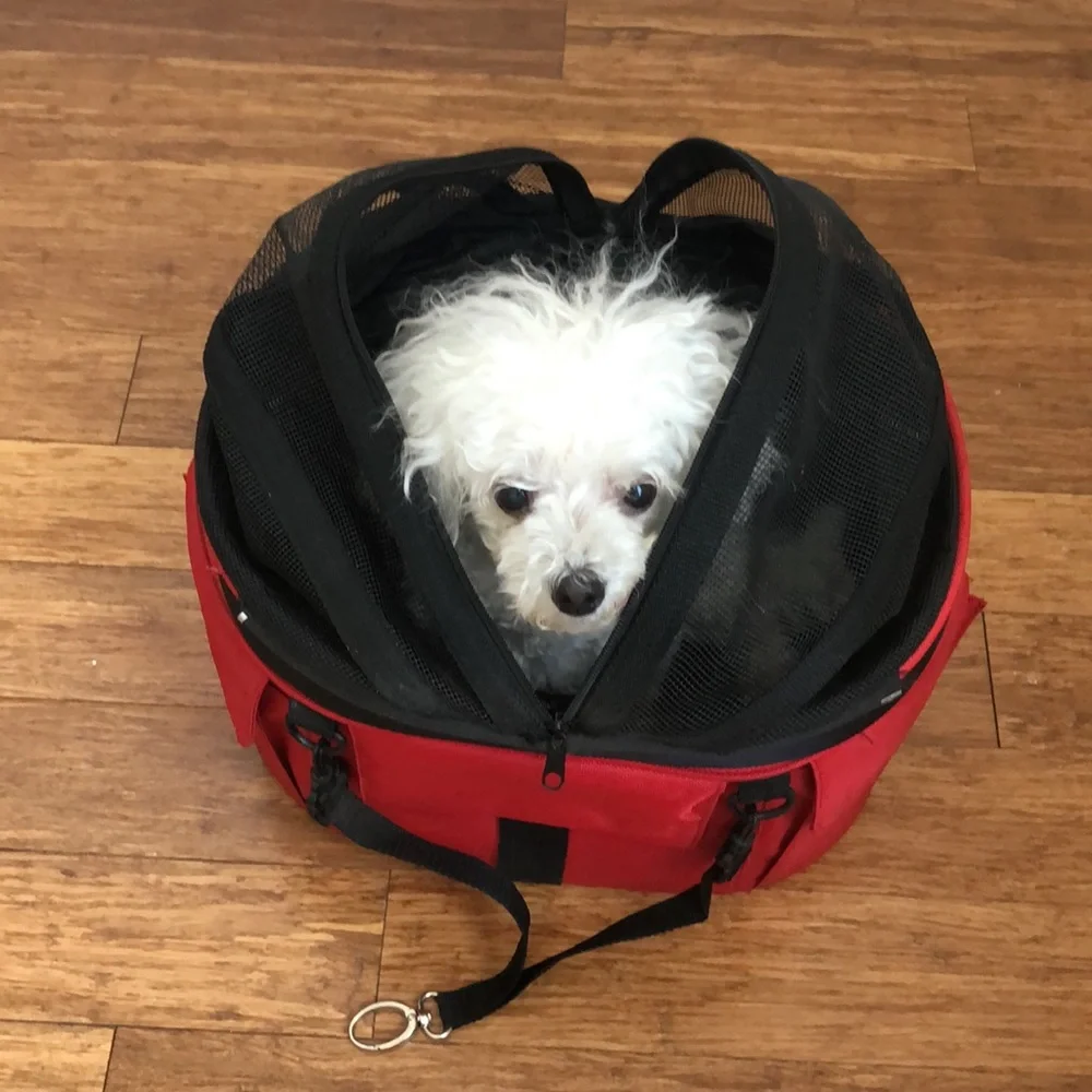 Doggy Ride Cocoon in apple red